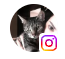 fb_userprofile