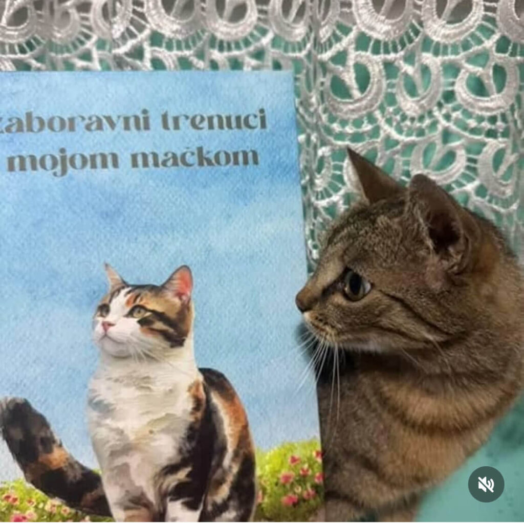 macka i knjiga